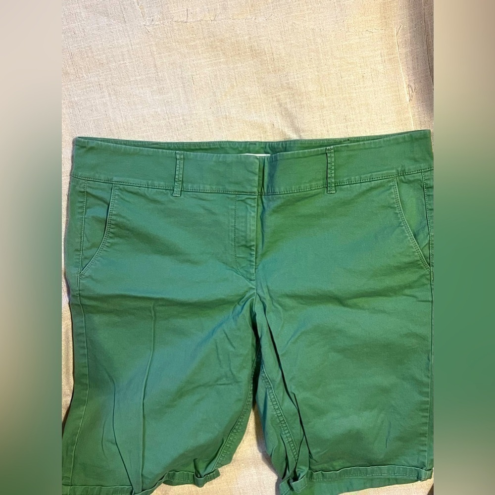 LOFT Green Shorts